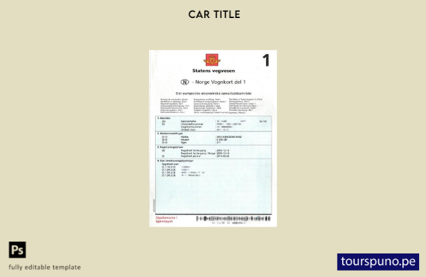 Plantilla de certificado de matriculación de vehículos de Noruega lista para imp
